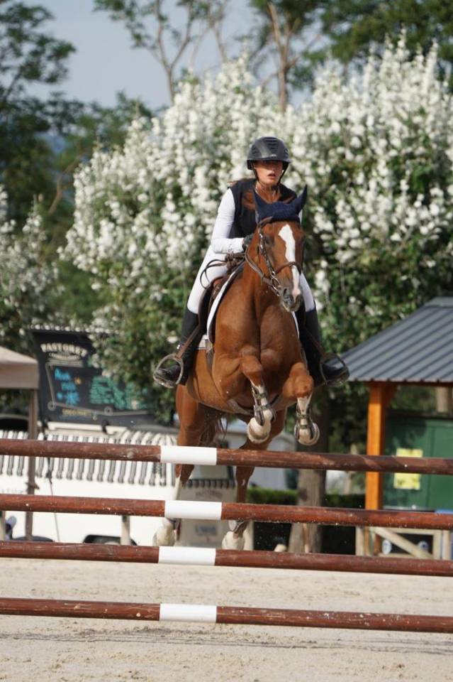 Yegua Silla Franc&eacute;s En venta 2012 Alaz&aacute;n por Vargas de Ste Hermelle