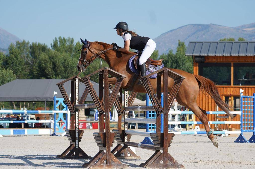 Yegua Silla Franc&eacute;s En venta 2012 Alaz&aacute;n por Vargas de Ste Hermelle