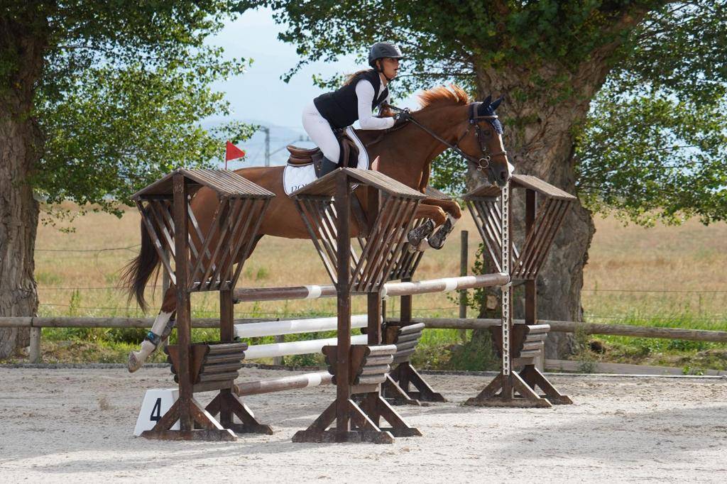 Yegua Silla Franc&eacute;s En venta 2012 Alaz&aacute;n por Vargas de Ste Hermelle