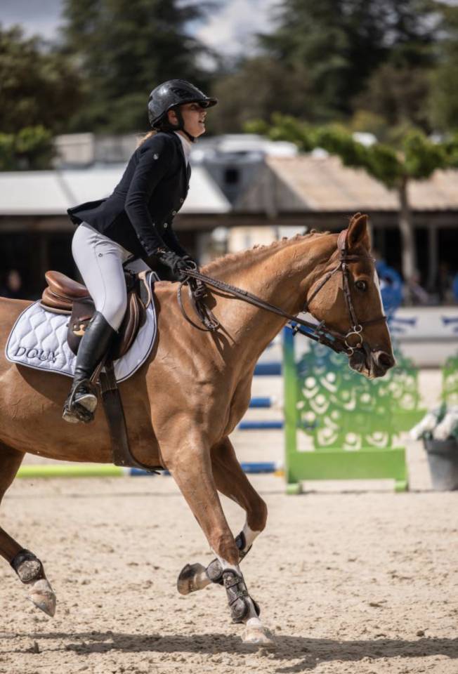 Yegua Silla Franc&eacute;s En venta 2012 Alaz&aacute;n por Vargas de Ste Hermelle