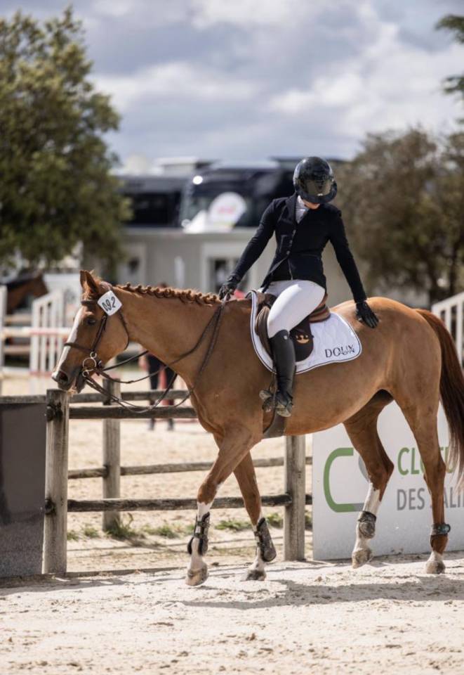 Yegua Silla Franc&eacute;s En venta 2012 Alaz&aacute;n por Vargas de Ste Hermelle