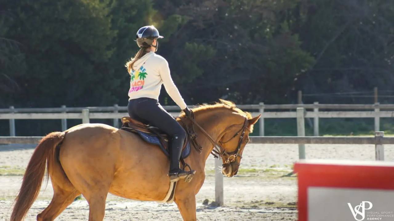Yegua Silla Franc&eacute;s En venta 2012 Alaz&aacute;n por Vargas de Ste Hermelle