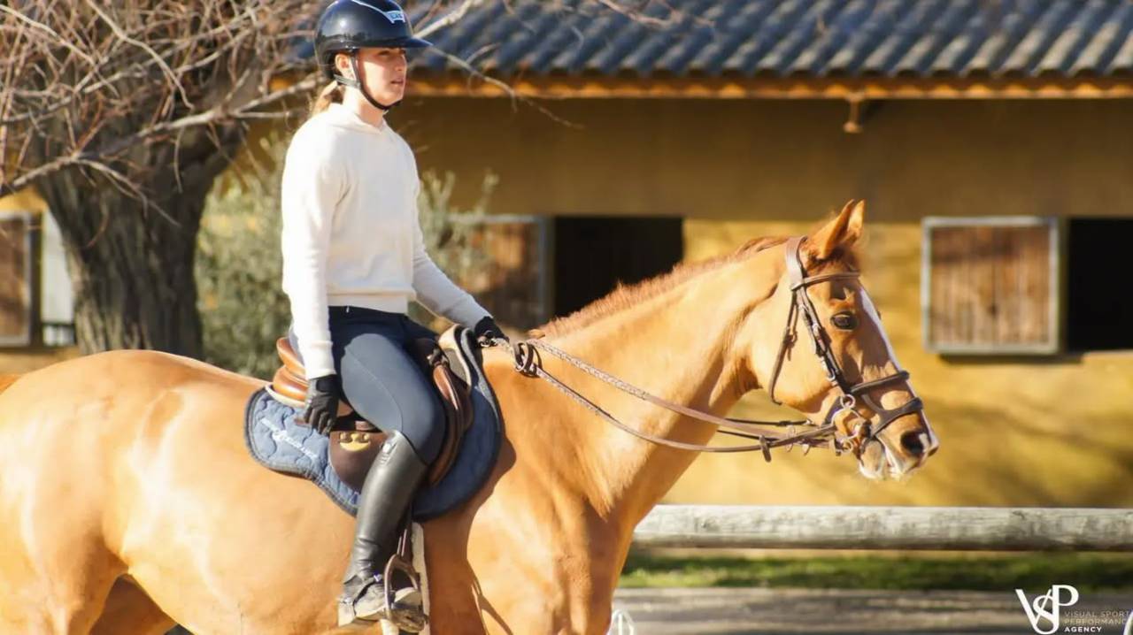 Yegua Silla Franc&eacute;s En venta 2012 Alaz&aacute;n por Vargas de Ste Hermelle