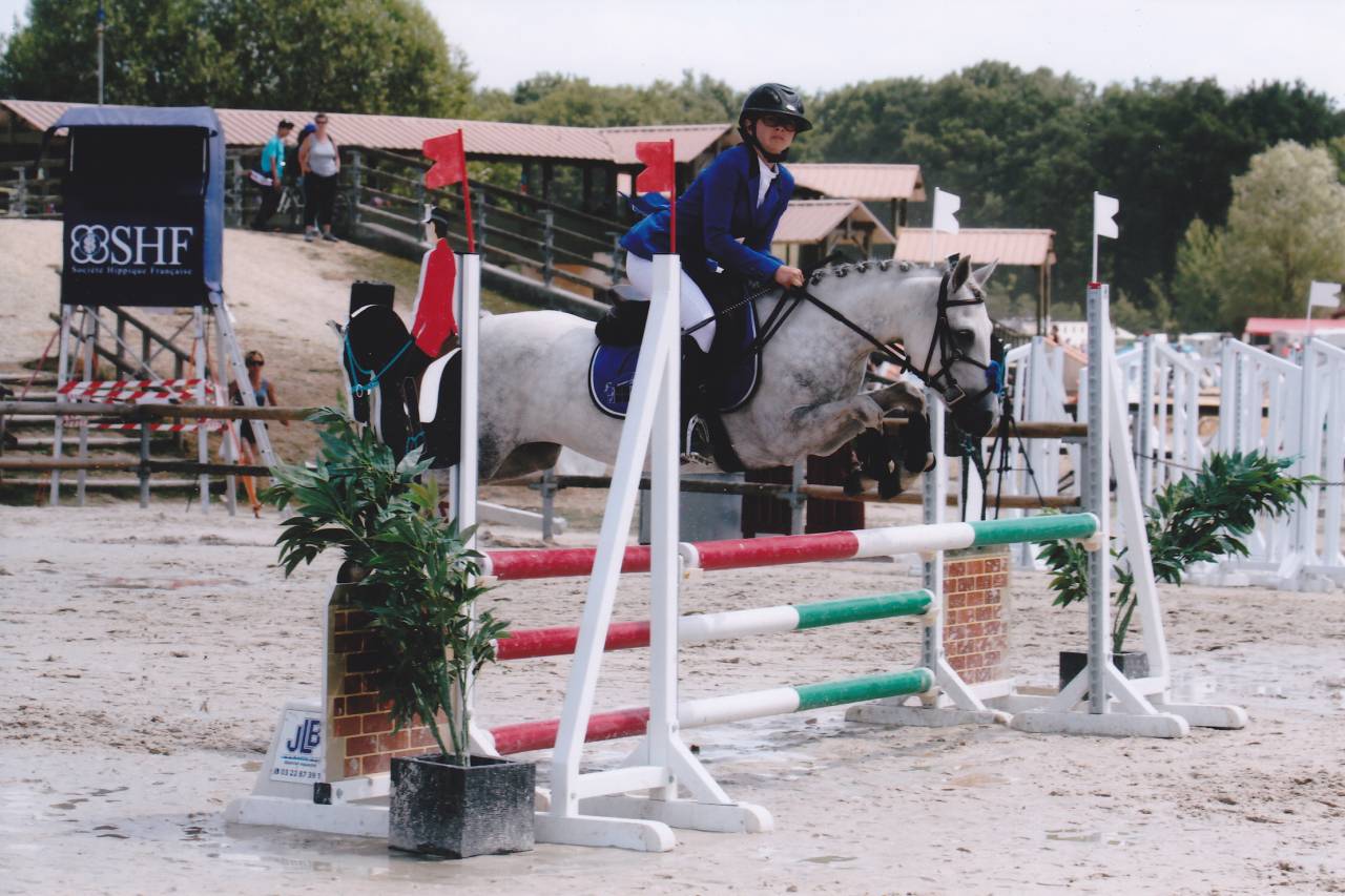 Yegua de ganader&iacute;a Welsh Poni (Secci&oacute;n B) En venta 2006 Tordo por Hercule d'audes