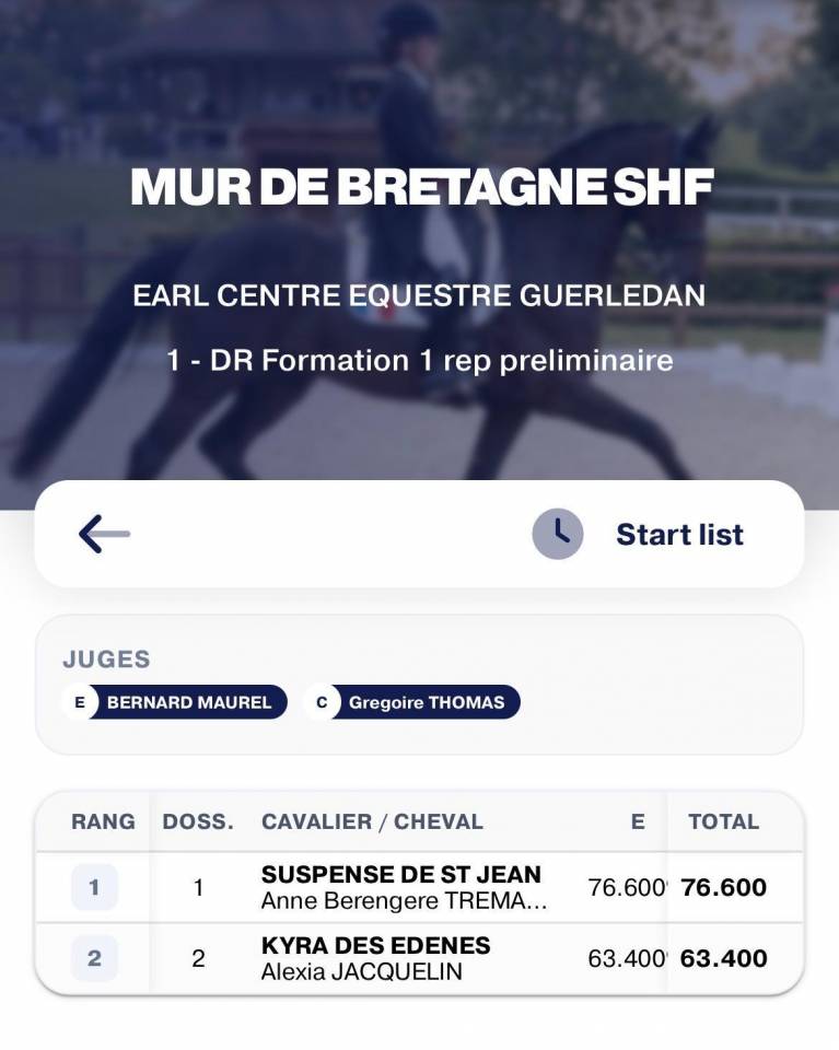 Caballo castrado KWPN Caballo de Deporte Neerland&eacute;s En venta 2022 Bayo