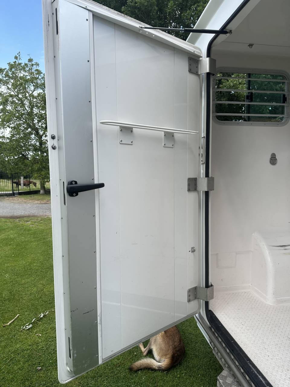 Furgoneta para caballos Renault Master  2020 De segunda mano