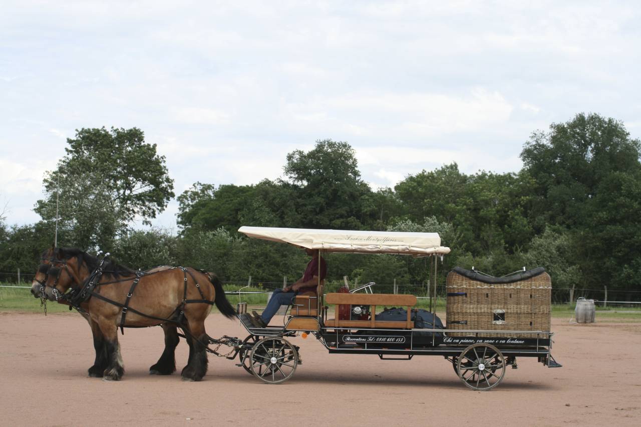 Coche enganches - Calesa - Otra marca - CAMPAGNE 160 HANDY 