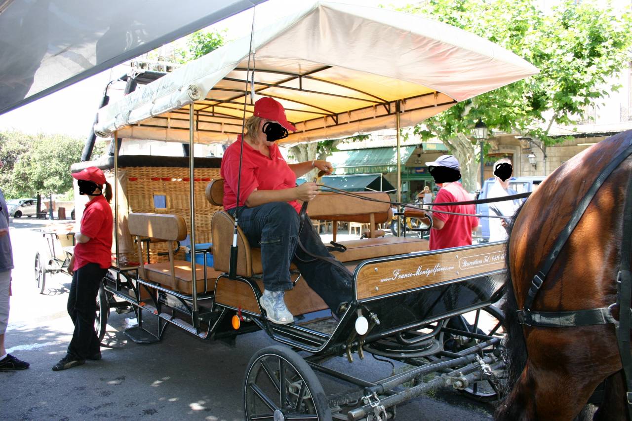 Coche enganches - Calesa - Otra marca - CAMPAGNE 160 HANDY 