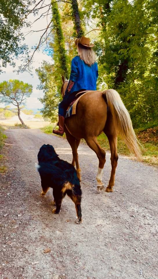 Yegua Quarter Horse &times; &Aacute;rabe palomino