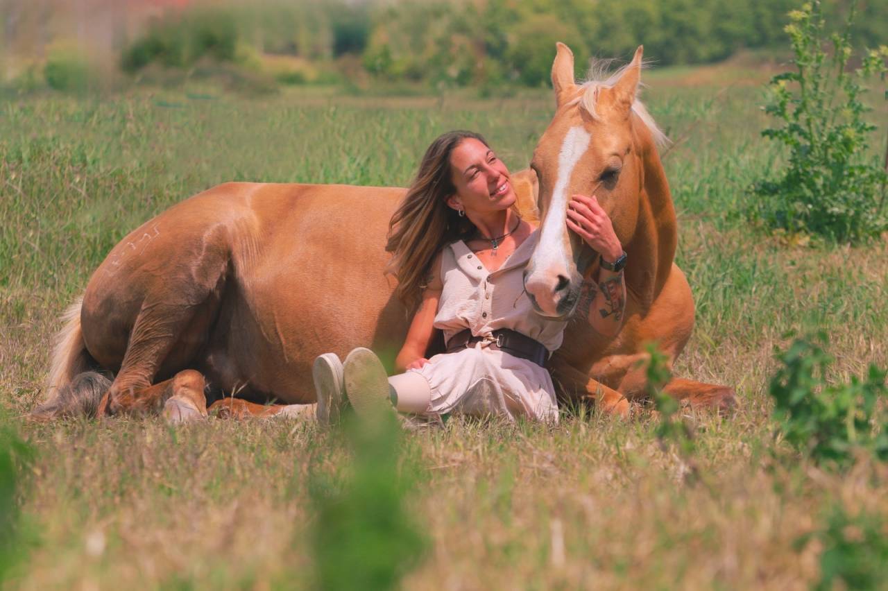 Yegua Quarter Horse &times; &Aacute;rabe palomino