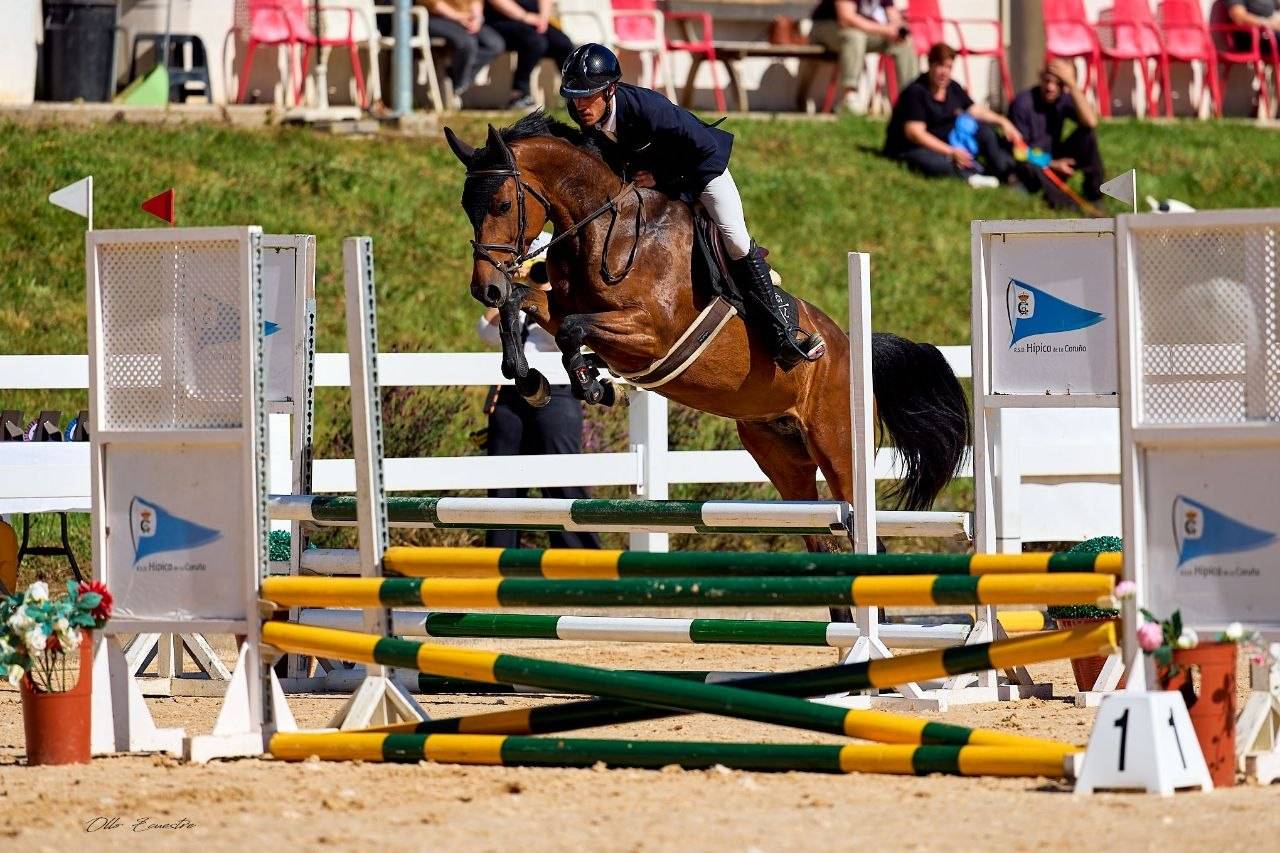 Yegua de salto