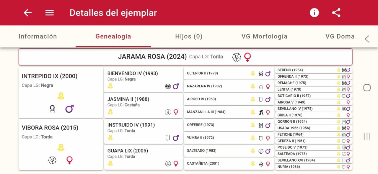 POTRA PURA RAZA ESPA&Ntilde;OLA