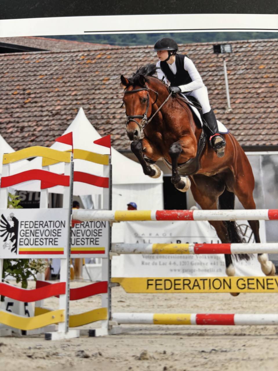 Yegua KWPN Caballo de Deporte Neerland&eacute;s En venta 2020 Bayo por Opium JW VAN DER MOERHOEVE TN