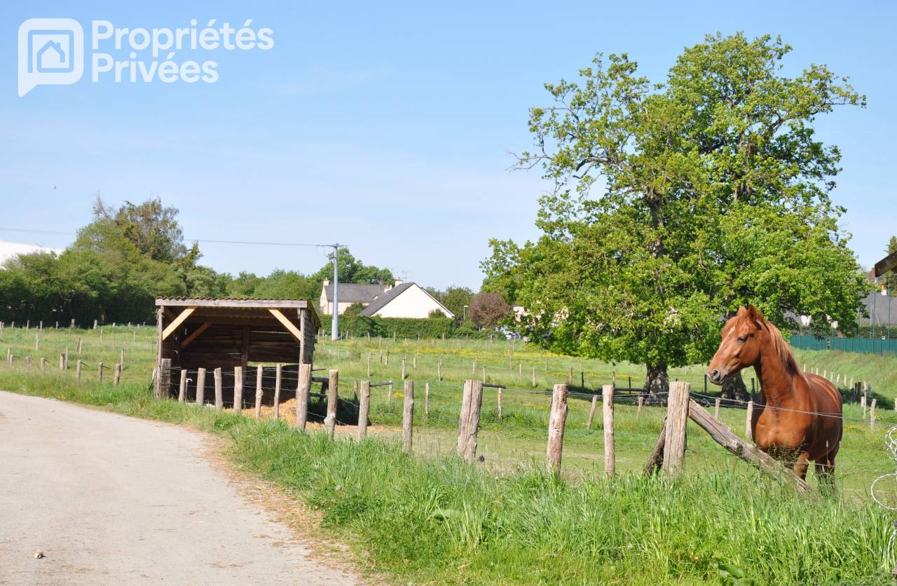 Centro ecuestre En venta Mayenne