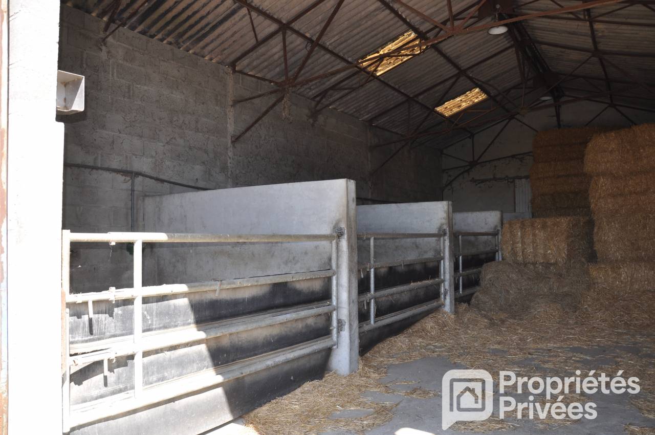 Centro ecuestre En venta Mayenne