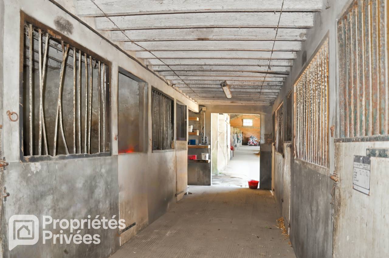 Centro ecuestre En venta Mayenne