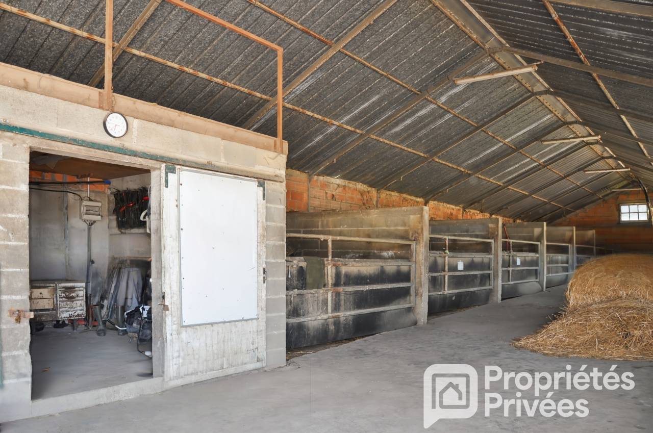 Centro ecuestre En venta Mayenne
