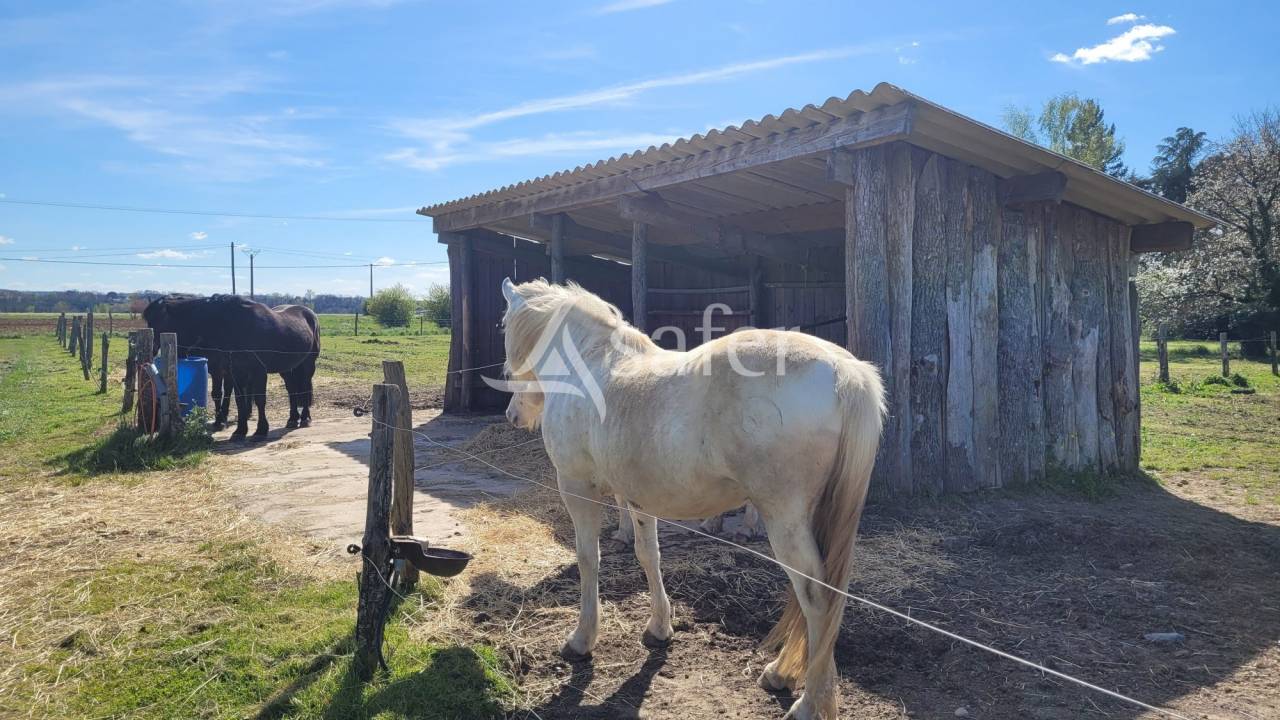 Propiedad ecuestre En venta Tarn