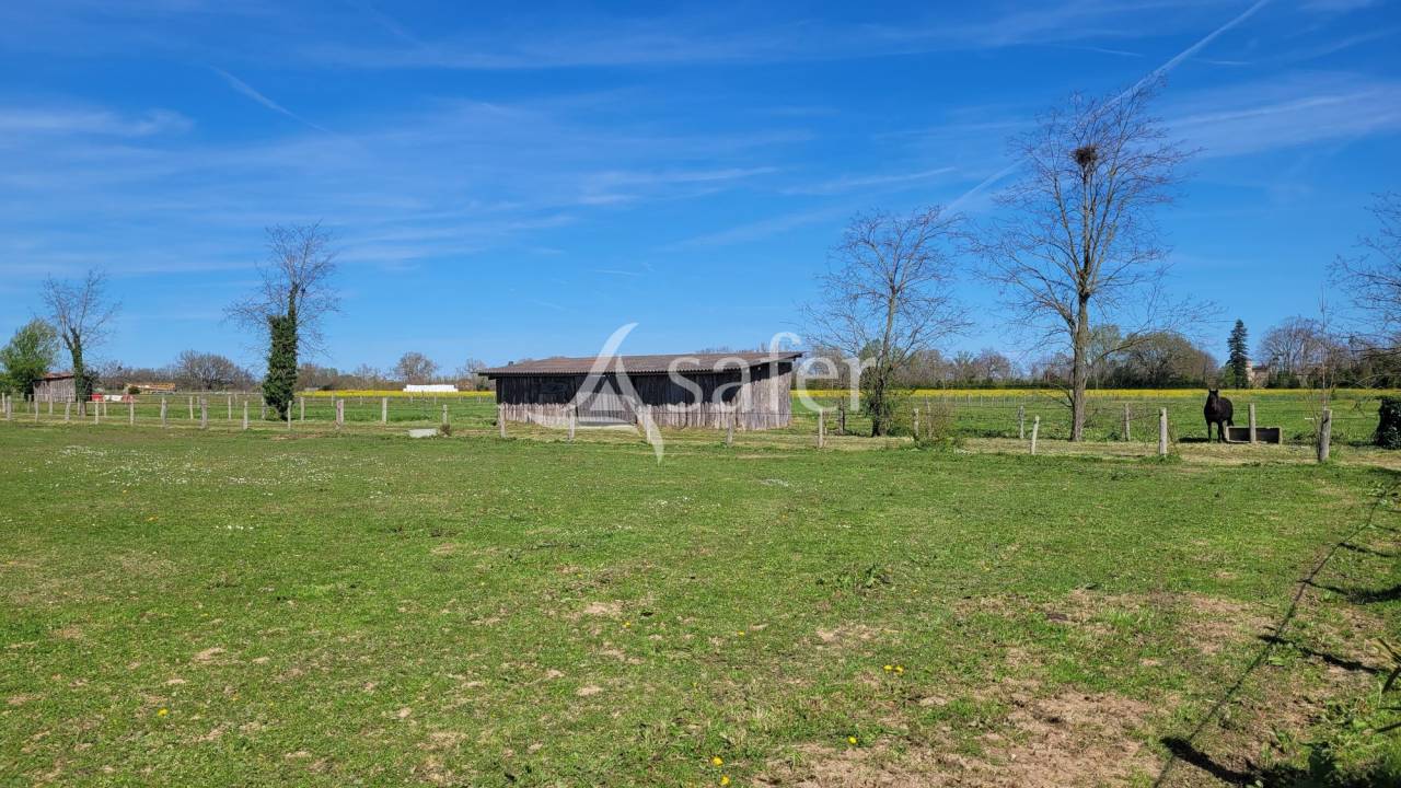 Propiedad ecuestre En venta Tarn