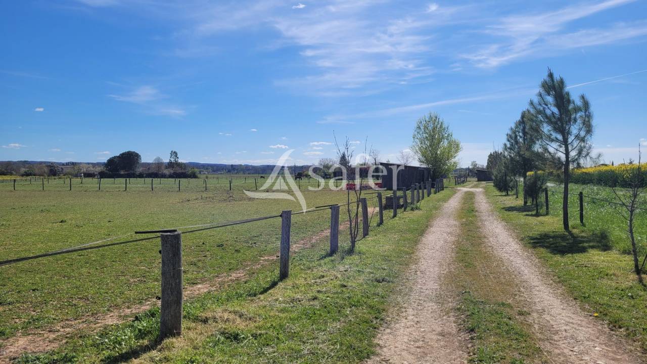 Propiedad ecuestre En venta Tarn