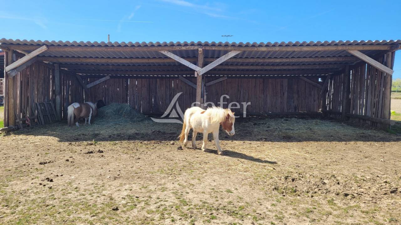 Propiedad ecuestre En venta Tarn