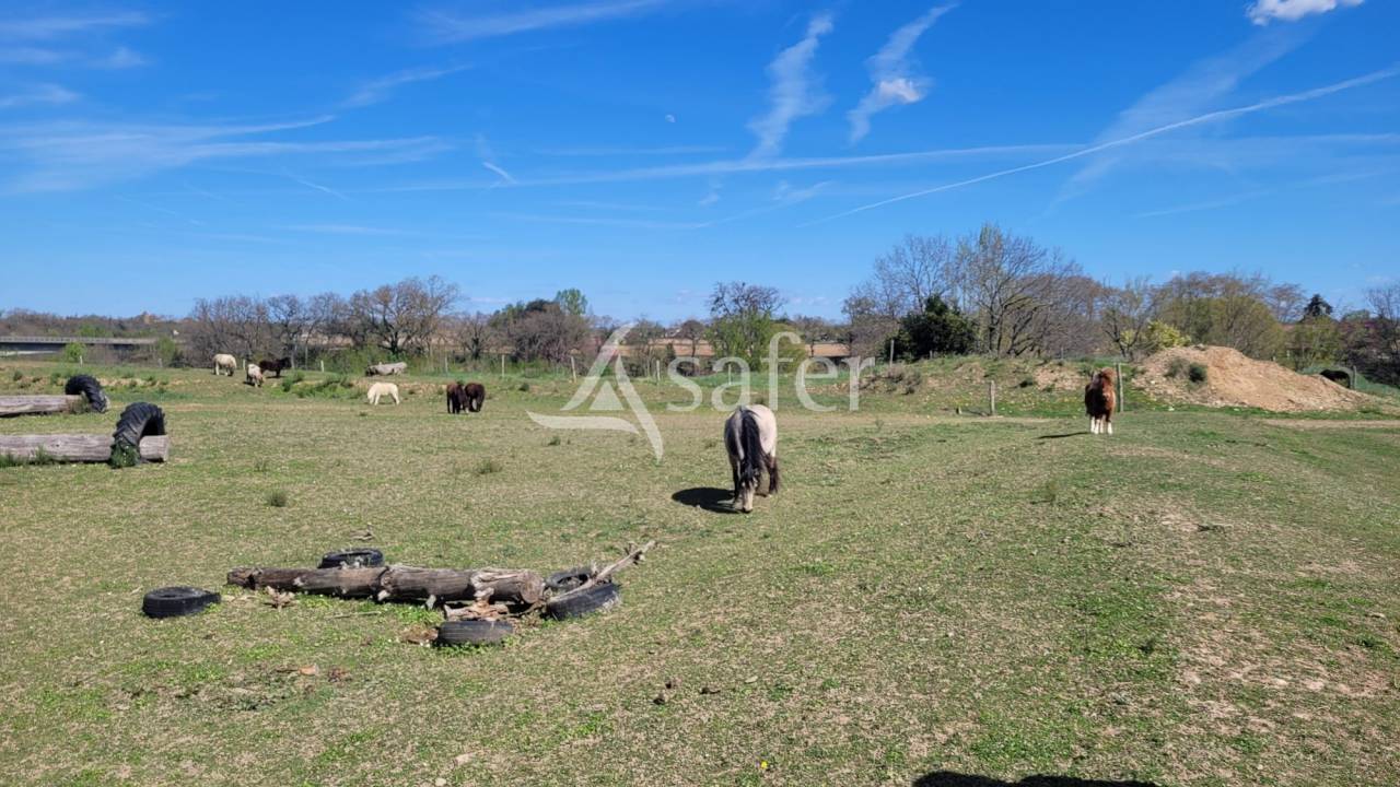 Propiedad ecuestre En venta Tarn