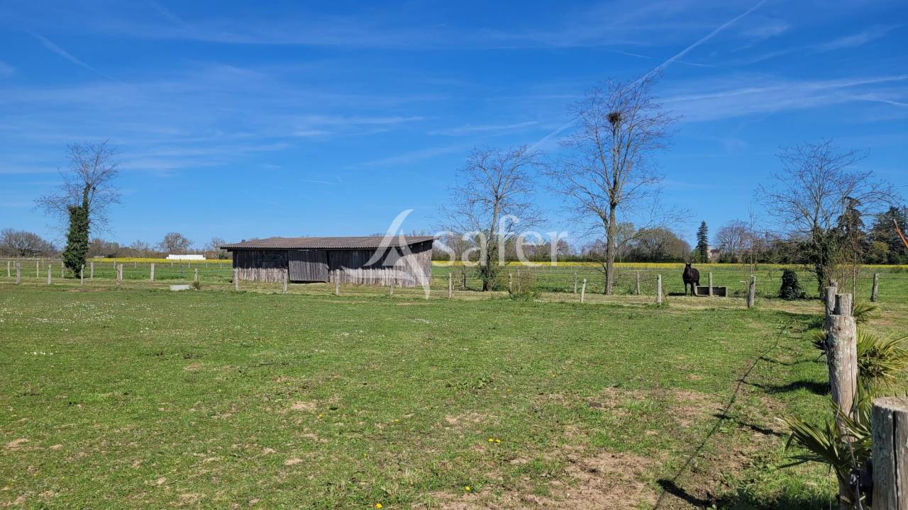 Propiedad ecuestre En venta Tarn