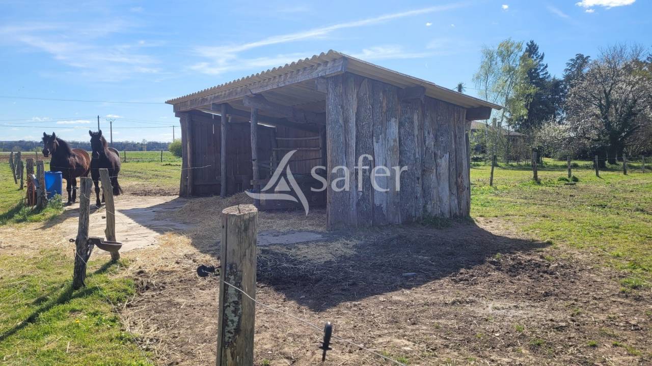Propiedad ecuestre En venta Tarn