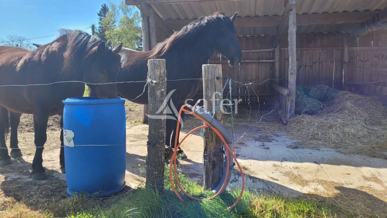 Propiedad ecuestre En venta Tarn