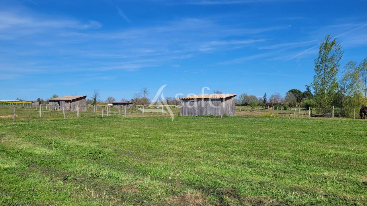 Propiedad ecuestre En venta Tarn
