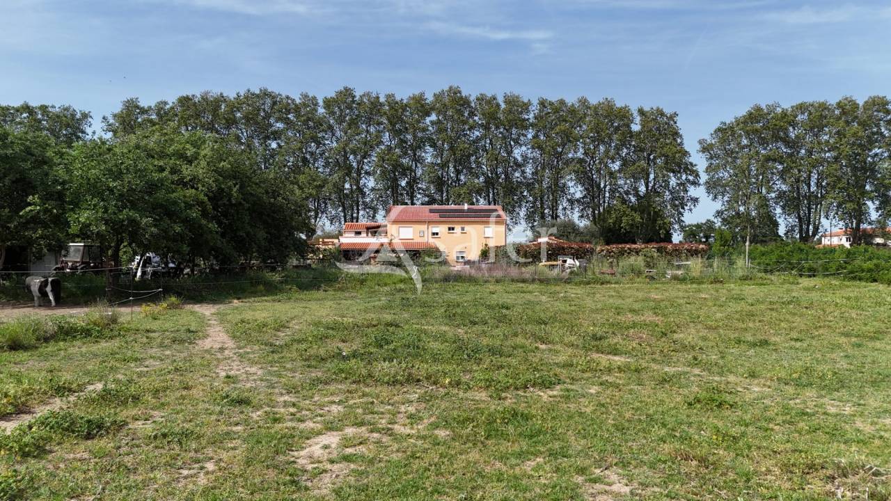 Propiedad ecuestre En venta Pirineos Orientales