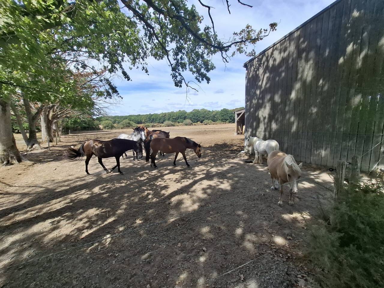 Cuadra de propietarios En venta Loira Atl&aacute;ntico
