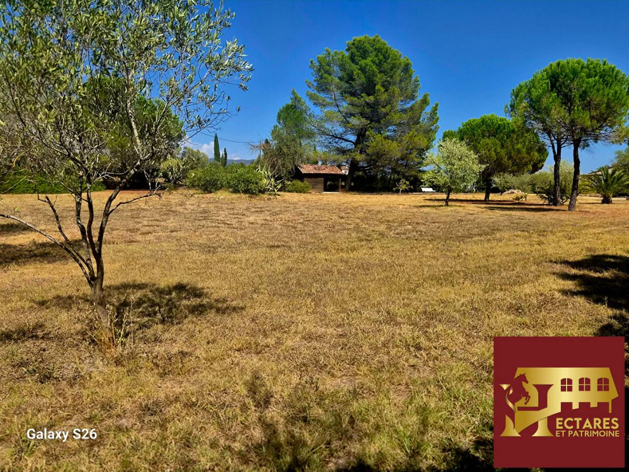 Propiedad ecuestre En venta Var