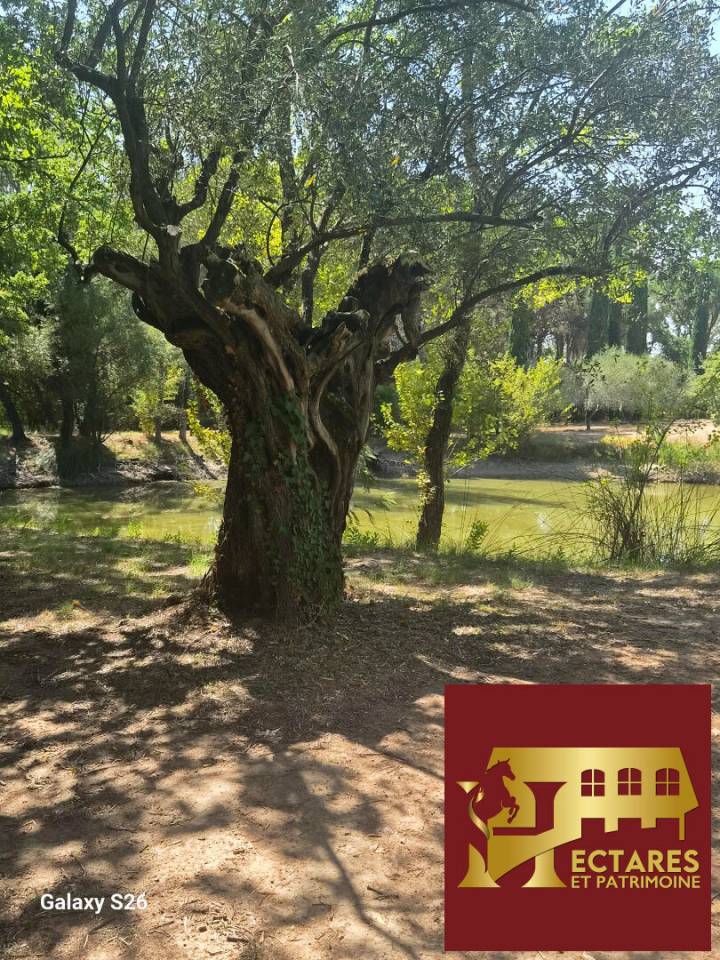 Propiedad ecuestre En venta Var
