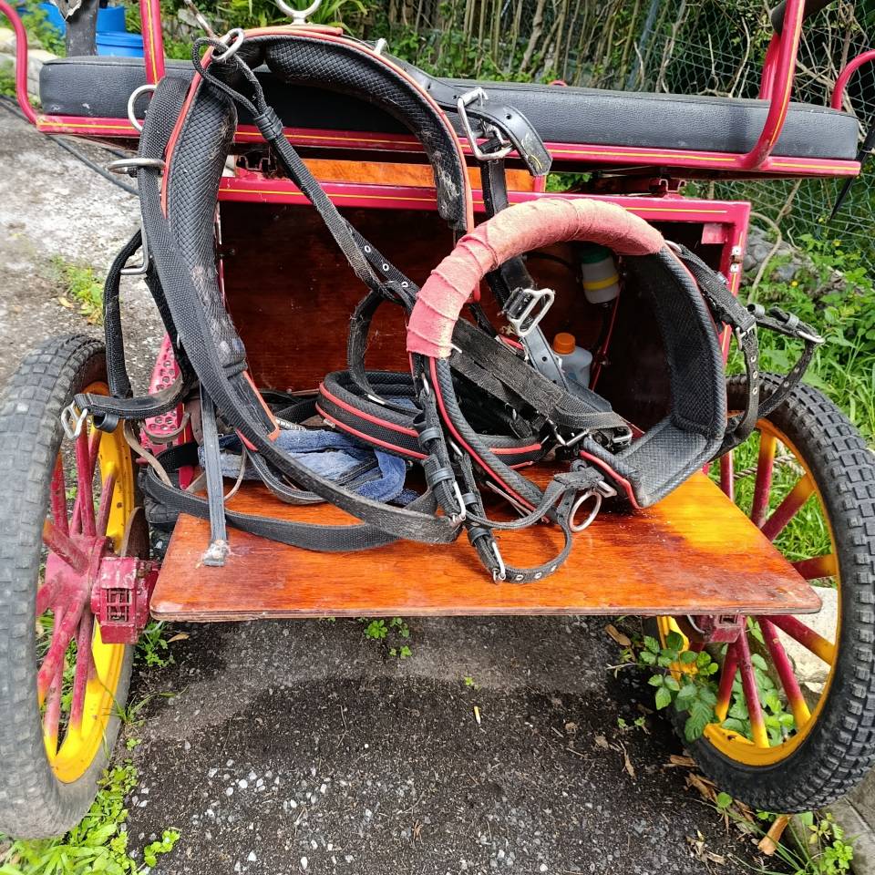 Calesa econ&oacute;mica 