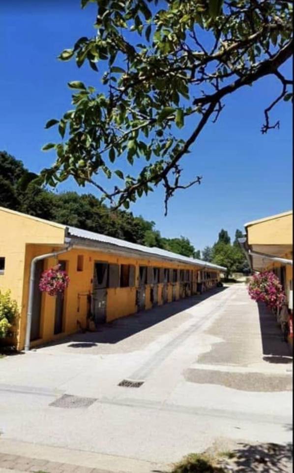 Cuadra de propietarios En alquiler Sena y Marne