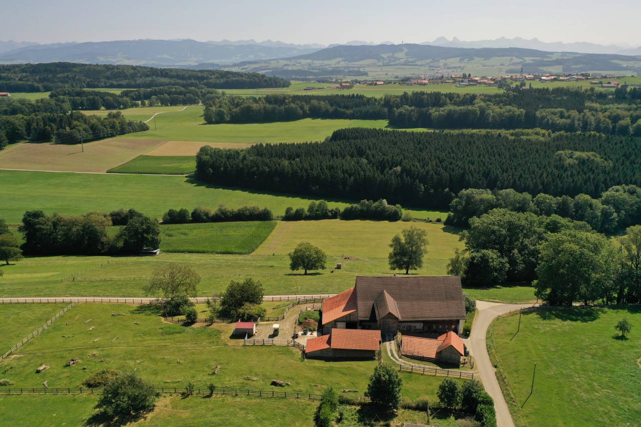 Granja ecuestre En venta Friburgo