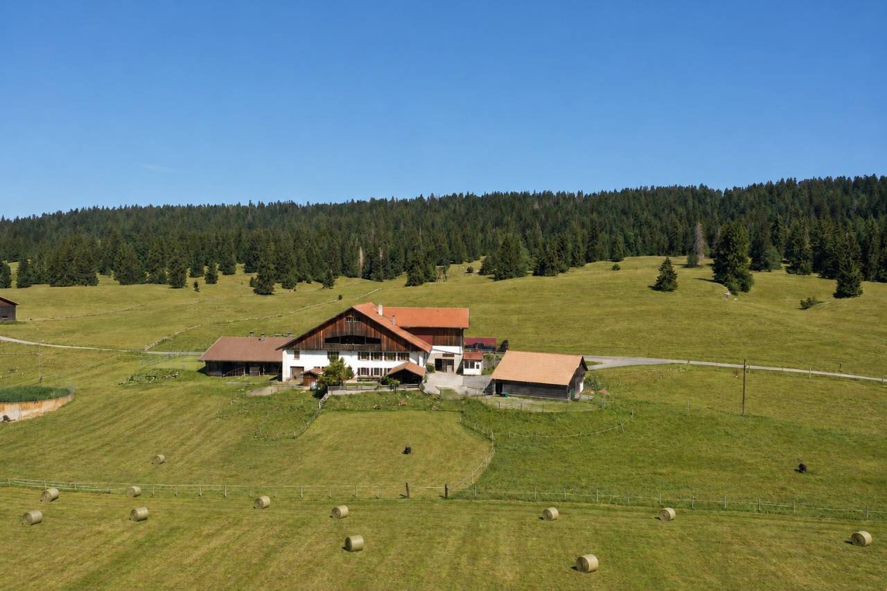 Granja ecuestre En venta Friburgo