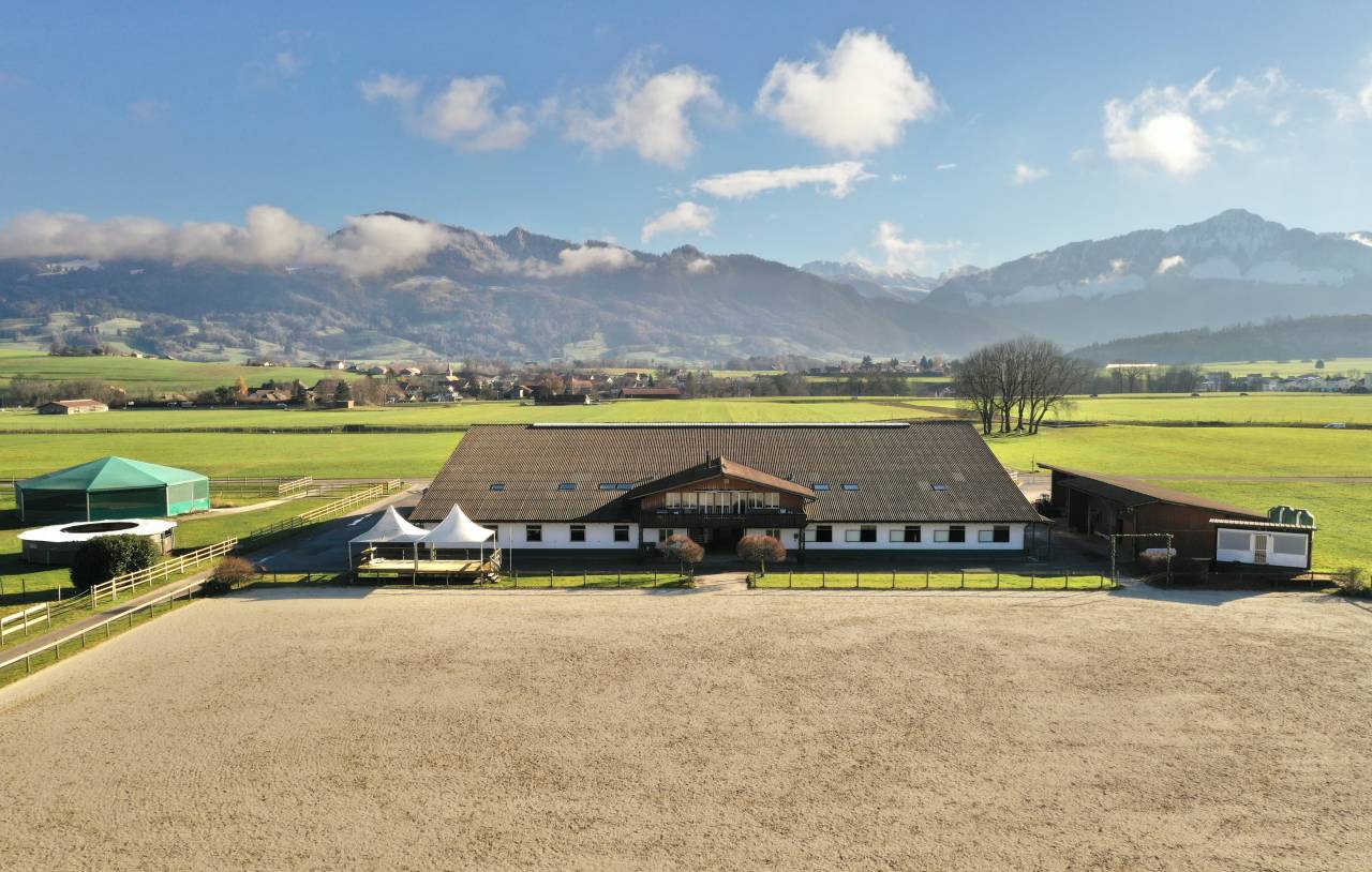 Granja ecuestre En venta Friburgo