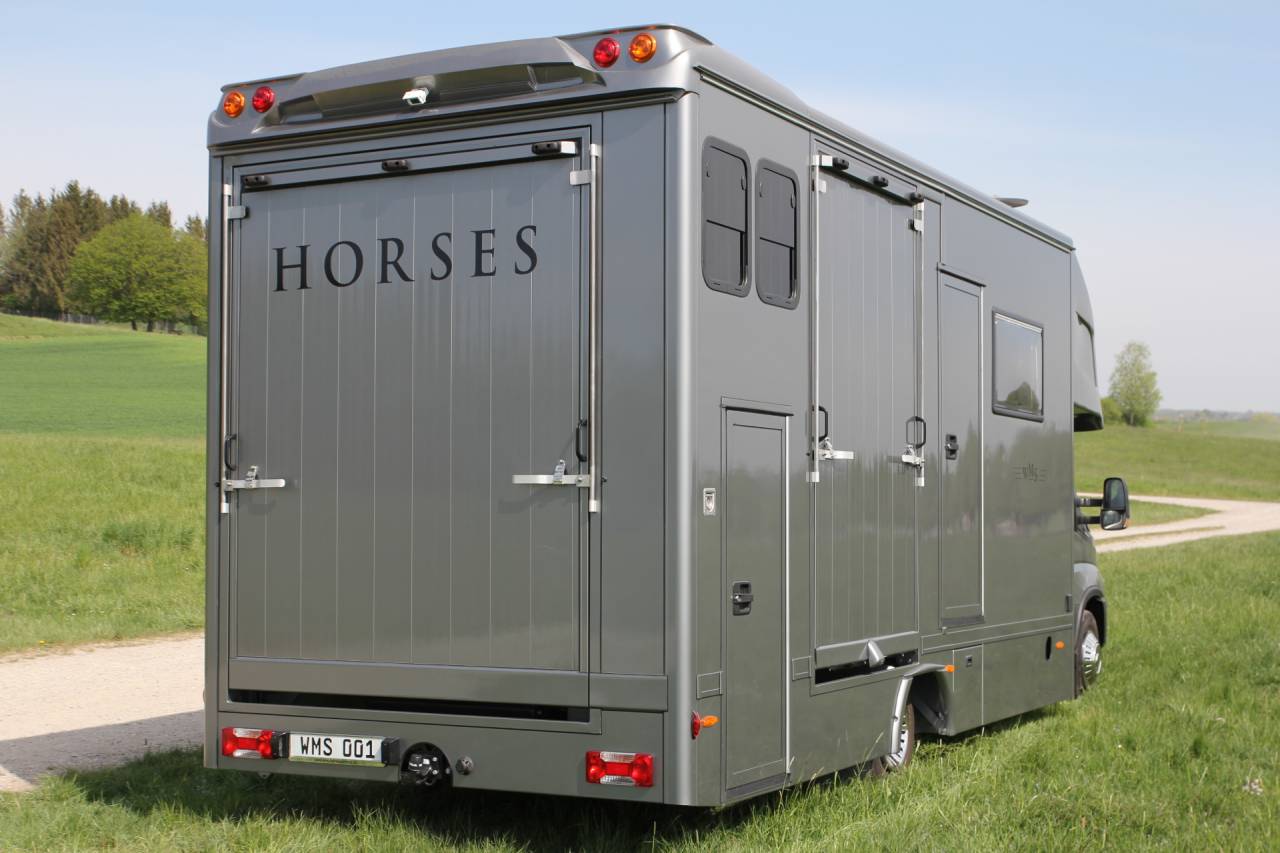 Cami&oacute;n para caballos Iveco IVECO DAILY 70C21 WMS POP OUT 2026 Nuevo