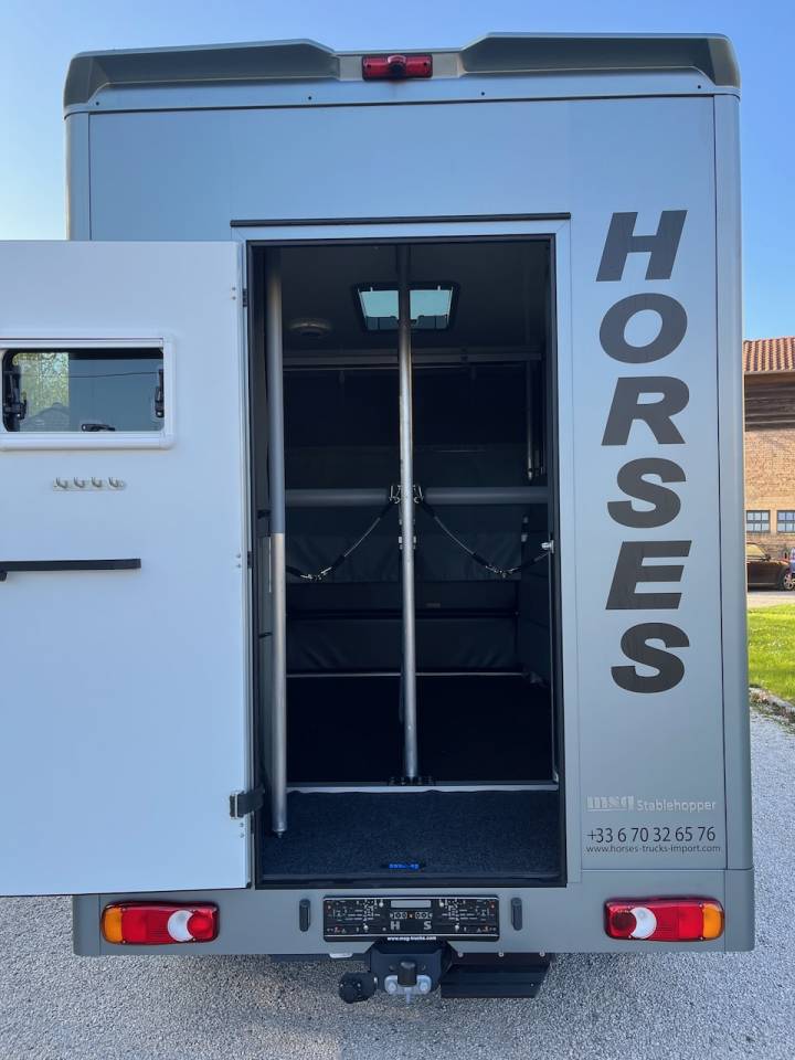 Furgoneta para caballos Nissan NISSAN INTERSTAR DCI 165 MSG STALLION LIGHT 2026 De segunda mano