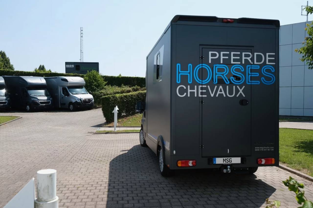Furgoneta para caballos Peugeot PEUGEOT BOXER 165 MSG STALLION LIGHT NOUVEAU MODEL 2026 Nuevo
