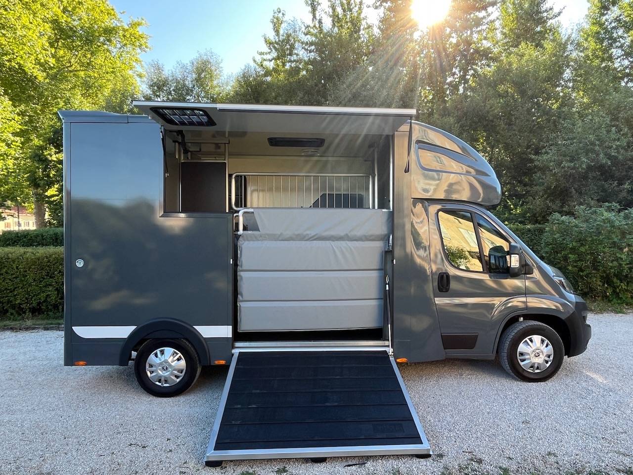 Furgoneta para caballos Peugeot PEUGEOT BOXER BLUEHDI 165 MSG STALLION LIGHT  De segunda mano