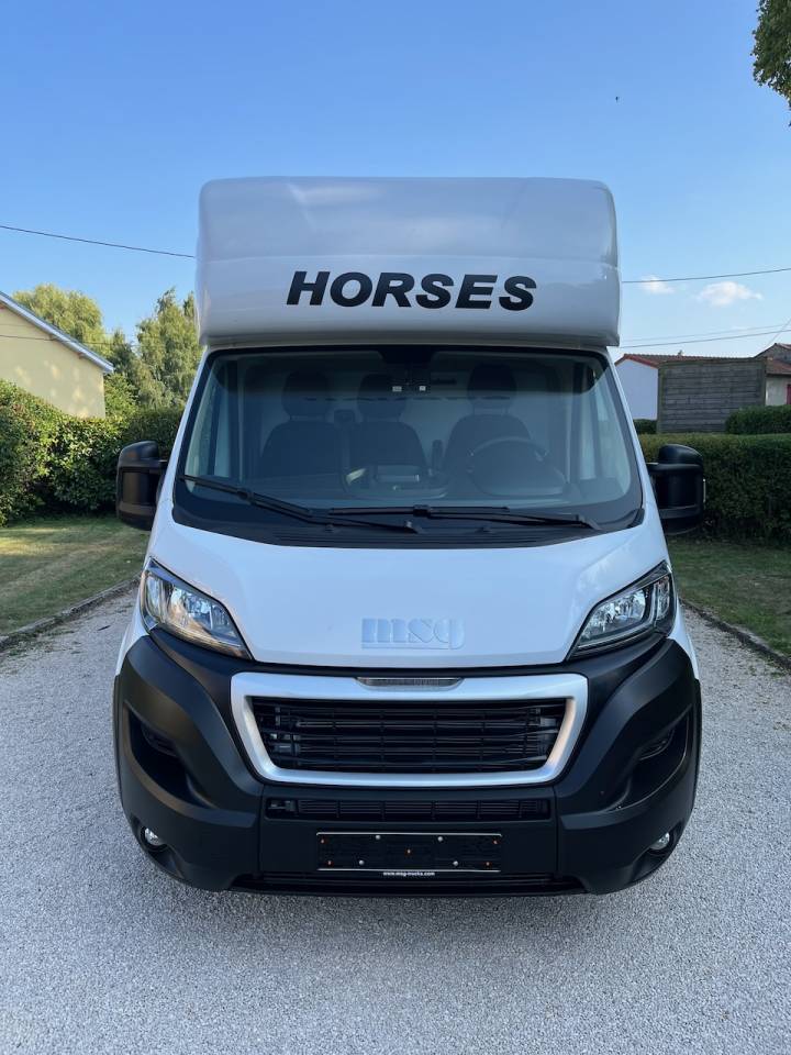 Furgoneta para caballos Peugeot PEUGEOT BOXER BLUEHDI 165 MSG STALLION LIGHT 2025 De segunda mano