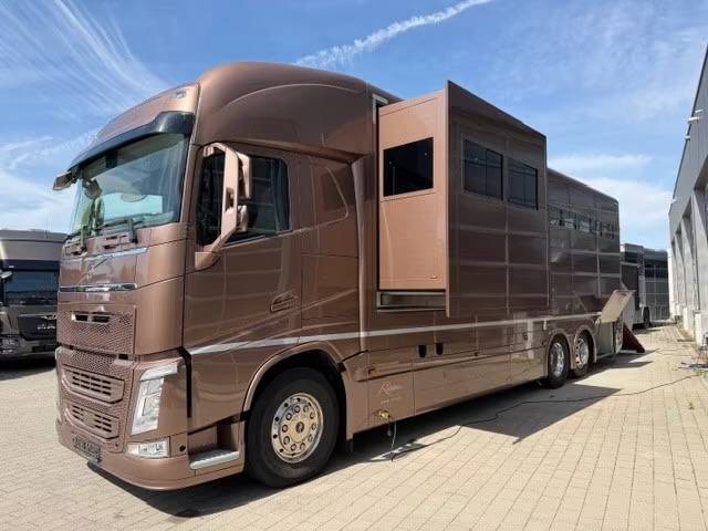 Cami&oacute;n para caballos Volvo VOLVO FH 500 ROELOFSEN RR6 POP OUT & PUSH UP 2016 De segunda mano