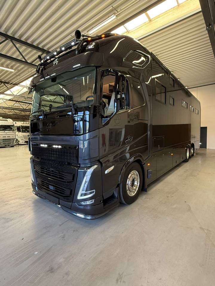 Cami&oacute;n para caballos Volvo VOLVO FH 500 NF 8 HORSES 2025 De segunda mano