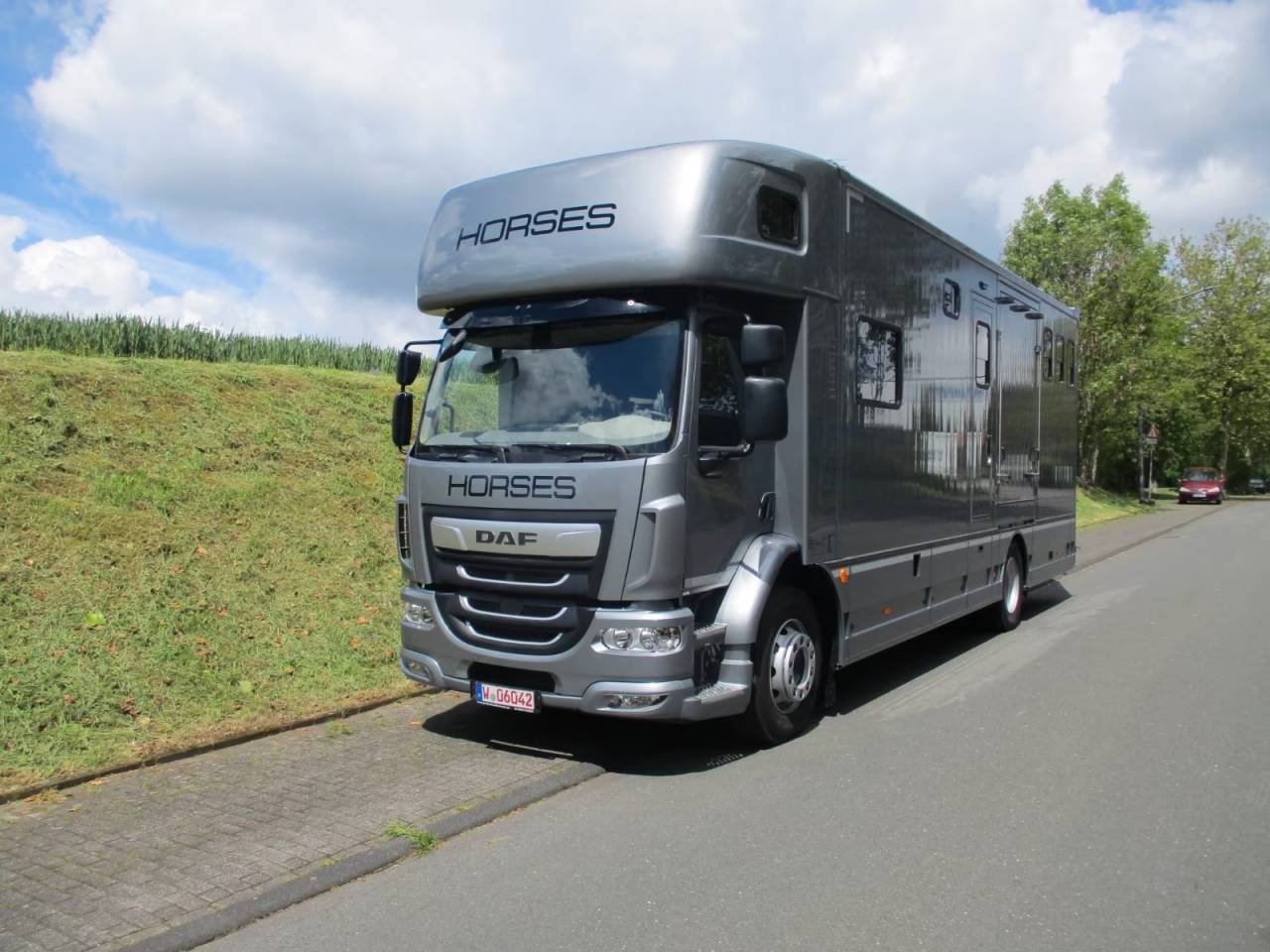Cami&oacute;n para caballos Daf DAF LF 310 EHC 2026 Nuevo
