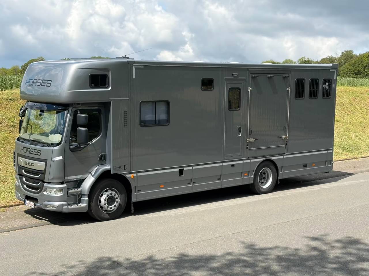 Cami&oacute;n para caballos Daf DAF LF 310 EHC 2026 Nuevo
