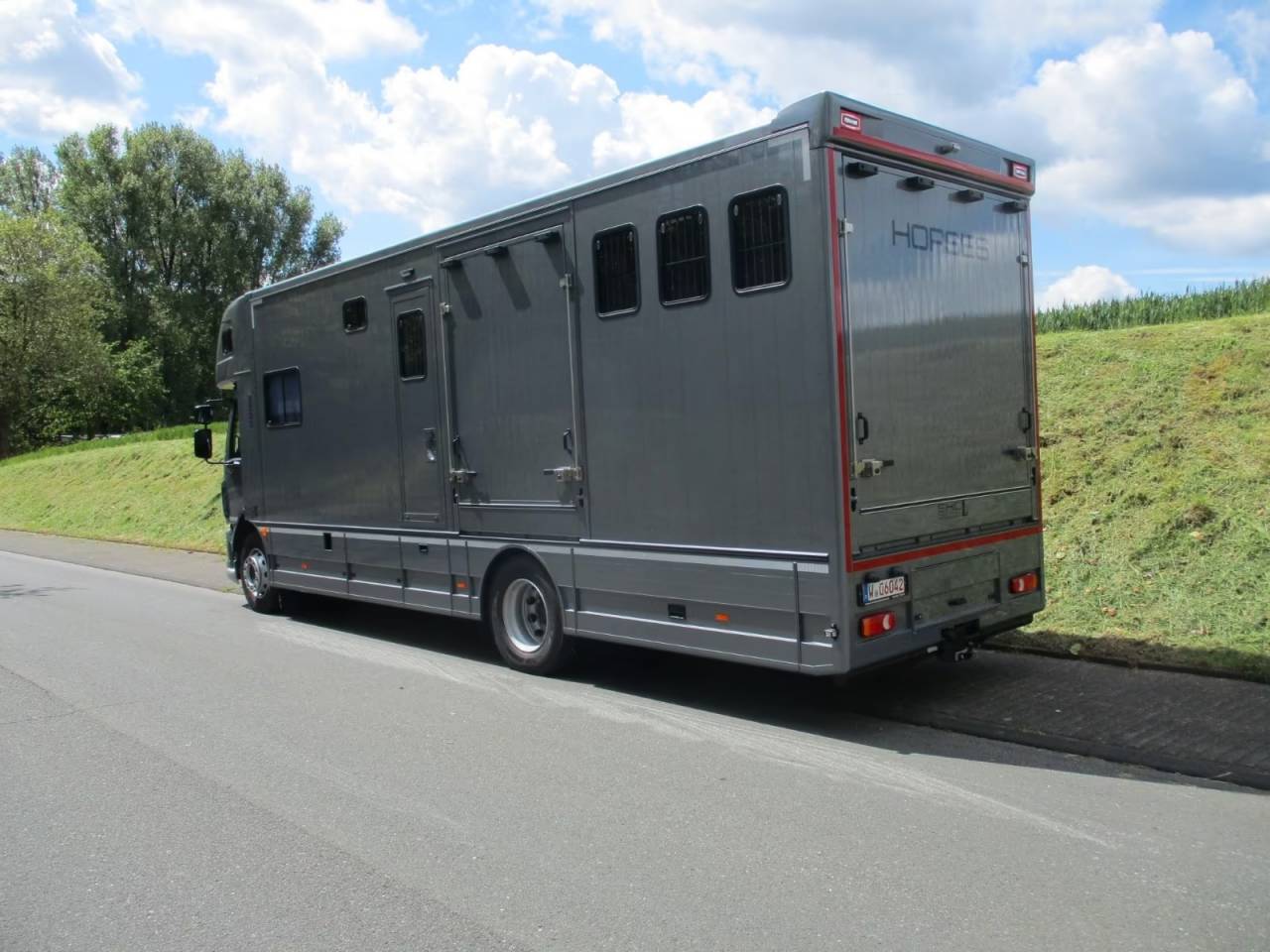 Cami&oacute;n para caballos Daf DAF LF 310 EHC 2026 Nuevo