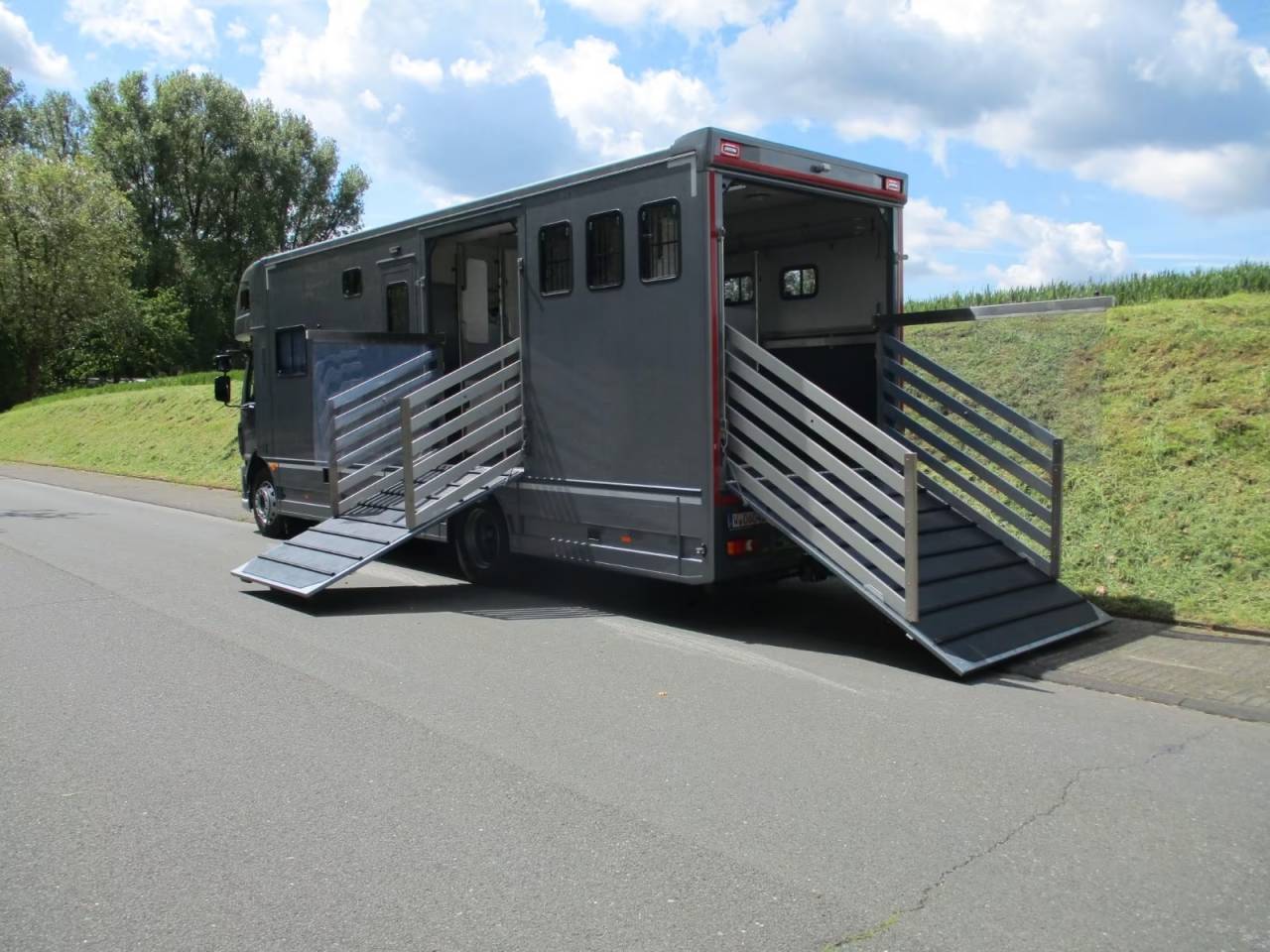Cami&oacute;n para caballos Daf DAF LF 310 EHC 2026 Nuevo